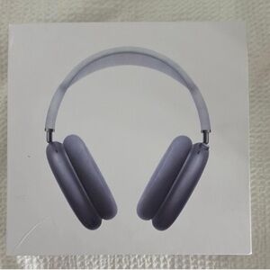 Apple Over-Ear Headphones - Silver and Gray